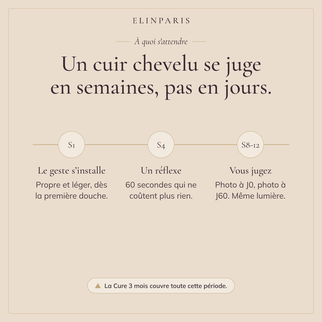 À quoi s'attendre : un cuir chevelu se juge en 8 à 12 semaines