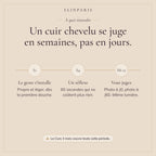 À quoi s'attendre : un cuir chevelu se juge en 8 à 12 semaines
